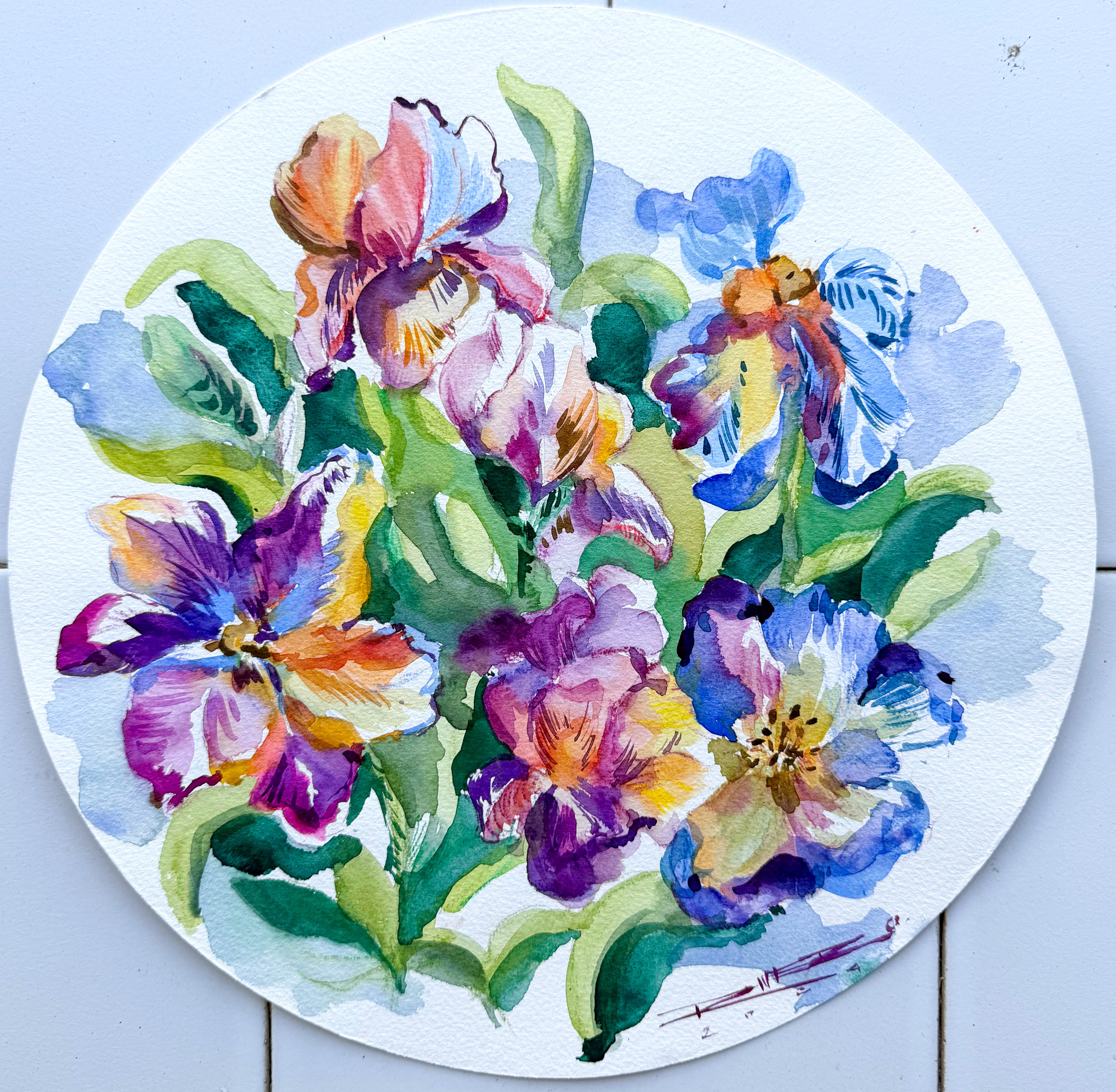 Iris de Colores
